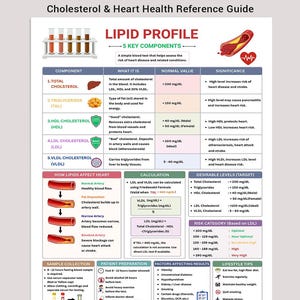 May include: A Lipid Profile Infographic titled Cholesterol & Heart Health Reference Guide. It displays five key components, normal values in mg/dL, risk categories, artery health diagrams, patient preparation steps, and lifestyle tips for heart health.