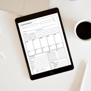 Hospice Nurse Assessment Sheet | RN Visit Form (PDF, Canva Edit) - Etsy