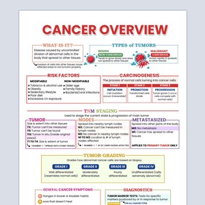 May include: A detailed infographic titled "Cancer Overview" with sections on tumor types, risk factors, and staging. The graphic includes text and diagrams explaining cancer development, symptoms, and diagnostics. The color scheme is primarily red, white, and blue.