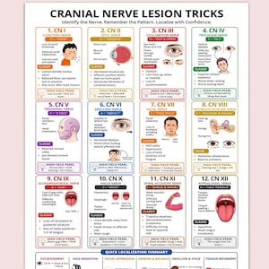 May include: A medical educational poster titled Cranial Nerve Lesion Tricks. It features a grid of twelve boxes, each detailing a specific cranial nerve, its associated symptoms, and clinical pearls with illustrations of eyes, faces, and anatomy.