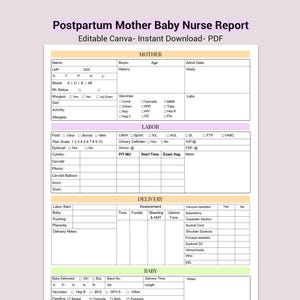 Mutter Baby Krankenschwester Berichtsbogen | Postpartum, Arbeit & Lieferung (Bearbeitbare Canva Vorlage