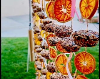 Op de afbeelding: Een decoratieve display van hangende vogelvoeders en gedroogde sinaasappelschijfjes. De ronde voeders zijn bedekt met zaden, afgewisseld met de sinaasappelschijfjes. De display is geregen met touw en linten, tegen een groene grasmat.