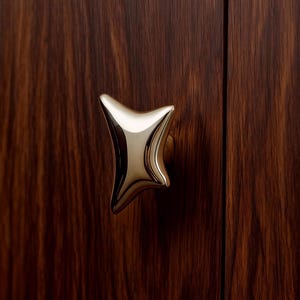 May include: A close-up of a cabinet door with a star-shaped, gold-colored handle. The door is made of dark brown wood with a prominent grain pattern. The handle is centered on the door, providing a striking contrast.