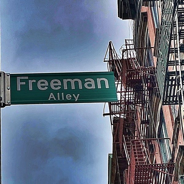 Freeman Alley / Straßenschild / Manhattan / NYC Foto