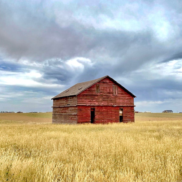 Wyoming / Old Barn / Wyoming-Foto