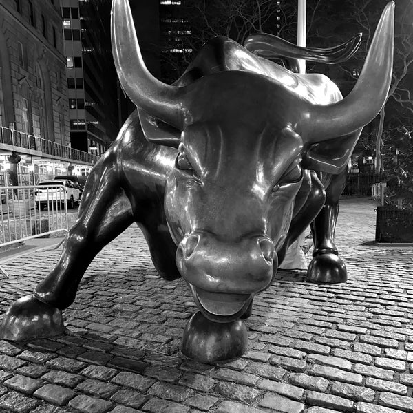 NYSE Bull / Wall Street / Charging Bull / NYC-Fotografie