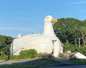 PHOTO / The DUCK in Flanders, NY (the Hamptons) - Photograph