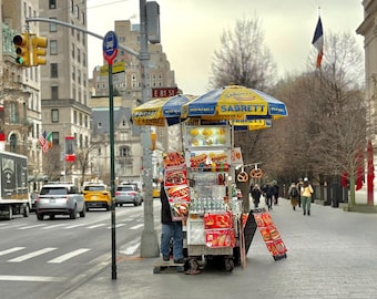 Hot Dog Stand / Metropolitan Museum of Art, Fifth Avenue / Classic NYC Photograph