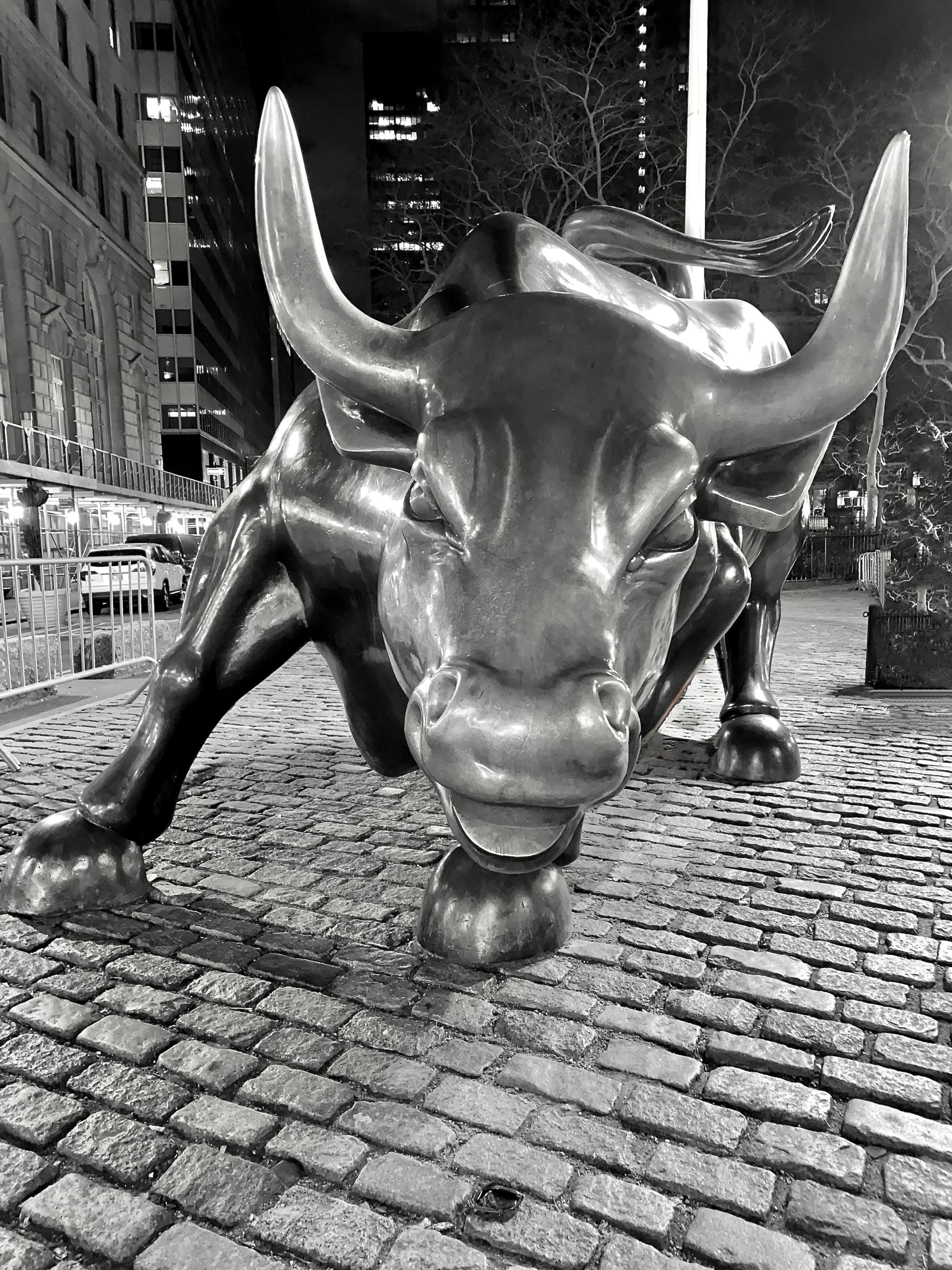 Charging Bull Statue (lucky Bull) / Financial District / Wall Street / NYC  Photograph - Etsy UK