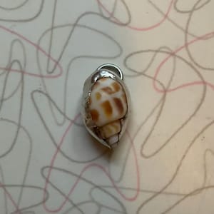 May include: A small, natural seashell pendant with a silver-colored metal cap and loop. The shell is white with brown spots. The pendant is shown against a white background with a pink and gray abstract design.