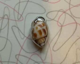pequeño dije de concha de caracol