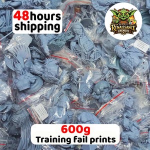 May include: A collection of grey resin 3D printed miniature figures and parts, each individually sealed in clear plastic bags. The assortment includes various character busts and fantasy-themed components, totalling 600g of training fail prints.