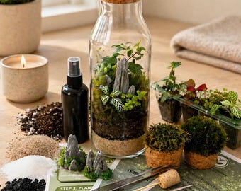 DIY Terrarium Kit for Beginners | Terrarium Kit with Live Plants | Garden Gift | Plant Lover Gift | DIY Kit | Indoor Garden | Terrarium Gift