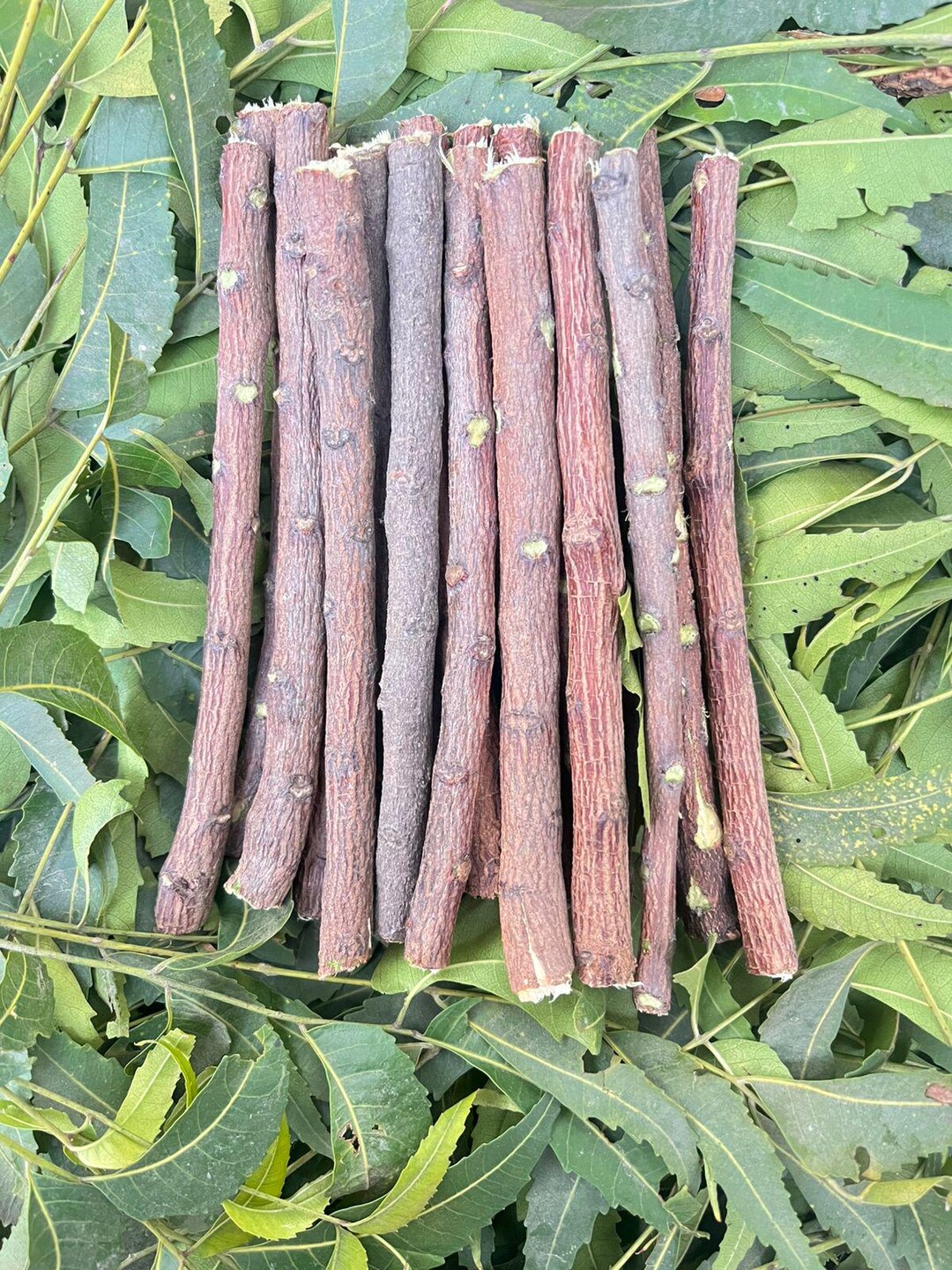Datun Sticks Natural Neem Chewing Sticks | Ayurvedic Tooth Cleaning Datun - Etsy UK