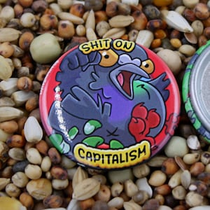 Puede incluir: Dos insignias redondas. Una insignia presenta un pájaro de dibujos animados con el texto "SHIT ON CAPITALISM" sobre un fondo rojo. La otra insignia tiene un diseño verde y plateado. Las insignias están sobre un fondo de semillas mixtas.
