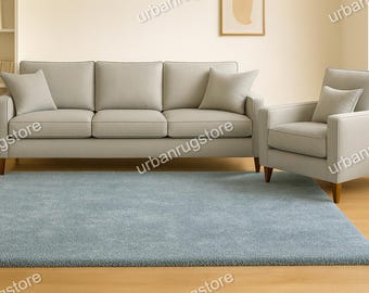 Light Blue Shag Rug, Modern Solid Area Carpet, Soft Plush Minimalist Floor Mat for Living Room Bedroom Home Decor, Contemporary Green Rug