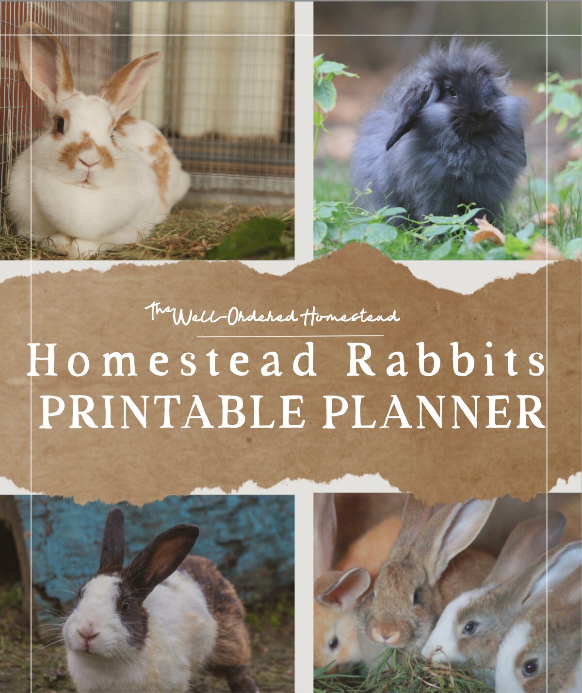 Planner Rabbet HOMESTEAD RABBIT PLANNER – Meat Rabbits Tasks, Breeding, Health ...