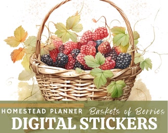 BERRY BASKET STICKERS - Digital Planner Stickers -Transparent Background png files to spice up your Homestead Management Binder Pages