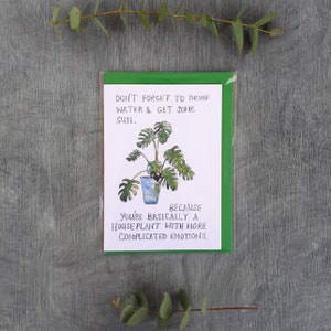 Cartão de planta de queijo monstera com emoções complicadas / por Sarah Majury