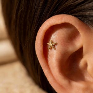 Petite étoile de mer à dos plat, boucle d'oreille cartilage en titane, bijoux piercing hélice, clou plage été, boucle d'oreille tragus, oreille sensible imperméable