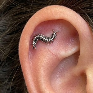 Titan Hundertfüßer flache Rückseite Ohrring | Knorpel Ohrstecker | Gothic Helix-Piercing | Käfer Ohrring | Gold oder Silber süsses Insekt