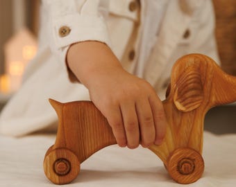Jouet à Tirer Animal Pour Enfant 1 An - Pousser-Tirer Montessori - Développe Motricité, Équilibre