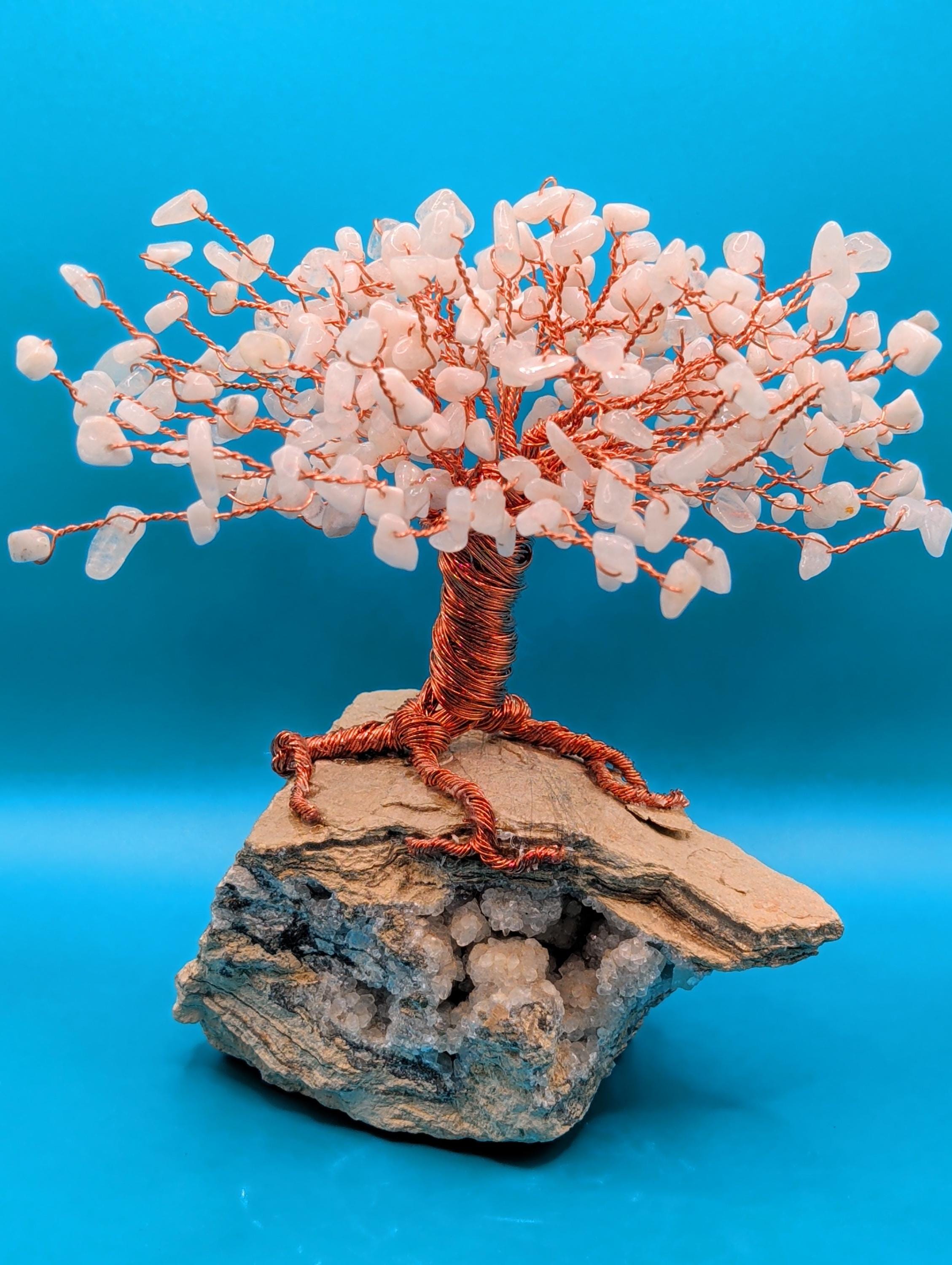 Bodhi tree bonsai - Etsy.de