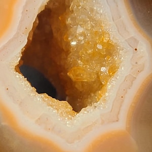 May include: A polished agate geode featuring a central cavity lined with small, sparkling golden-yellow crystals. The surrounding stone displays concentric bands of translucent white, cream, and soft orange hues, creating a layered appearance.
