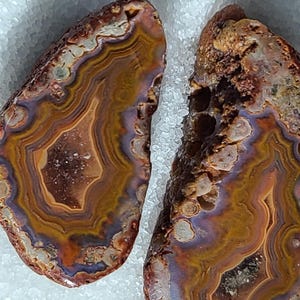 May include: Two polished agate slices featuring concentric bands of amber, brown, and deep purple hues. The stones exhibit a natural, irregular shape with rough, textured outer edges and crystalline centers, showcasing intricate mineral layering.