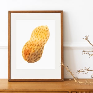 peanut watercolor painting in wooden frame