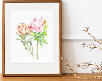 Pink Protea Print, 4x6, 8x10, Modern Flower Watercolor Art, Archival Watercolor Giclee, King and Pincushion Sugarbush Art for Her, for Mom