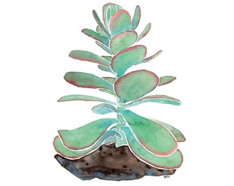 Paddle Plant Succulent Watercolor Art Print 4x6 8x10- Minimal Modern Green Plant Wall Decor, Indoor Garden Illustration