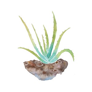 Aloe Plant 4x6 8x10 Print, Minimalist Botanical Plant Watercolor Print, Green Plant Art Wall Decor, Bohemian Bedroom Wall Decor