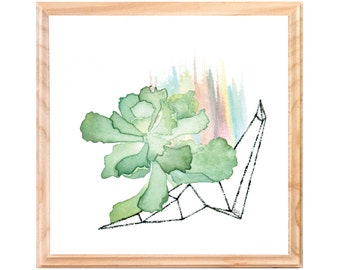 Green Echeveria Succulent Watercolor Painting -  Small Modern Geometric Plant Art - Ready to Hang Framed Original Contemporary Art