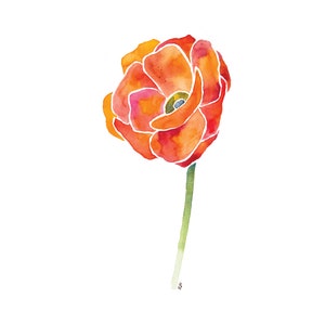 Oranje klaproos 4 x 6 8 x 10 print - archiefkwaliteit aquarel kunst - fel oranje rode papaver bloemenkunst - eenvoudige bloemenprint