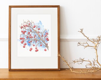 Red Crab Apples, 4x6 Art Print, 8x10 Watercolor Print, A4 Minimalist Nature Wall Art, Red & Blue Winter Tree Art, Watercolor Giclee