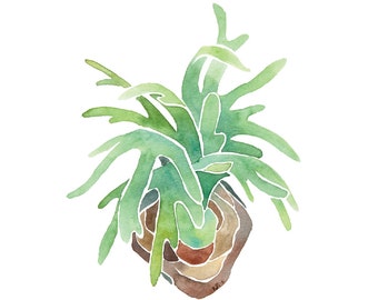 Staghorn Fern 4x6 8x10 Print - Archival Quality Watercolor Giclee - Green Watercolor Air Plant Art - Green Fronds Wall Mounted Plant Print