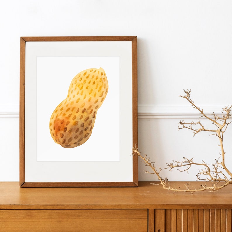 peanut watercolor painting in wooden frame