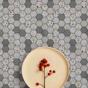May include: A beige plate with a sprig of red berries sits in front of a hexagonal tile pattern. The tiles feature a mix of gray, white, and patterned designs, creating a textured background. The plate is round and smooth.