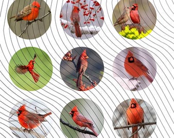 Cardinals, Circle Designs, 1 inch Bottle Caps, Precut Bottle Cap Images