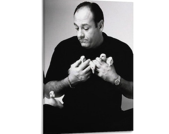 James Gandolfini Ducklings Canvas Print, Home Decor