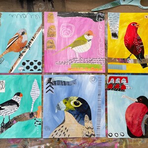 Puede incluir: Seis lienzos cuadrados coloridos con obras de arte de collage de t&eacute;cnicas mixtes que representan p&aacute;jaros. Cada lienzo presenta un p&aacute;jaro diferente con un fondo y una textura &uacute;nicos. Los p&aacute;jaros est&aacute;n pintados en varios colores, incluidos el rojo, el naranja, el verde y el negro.