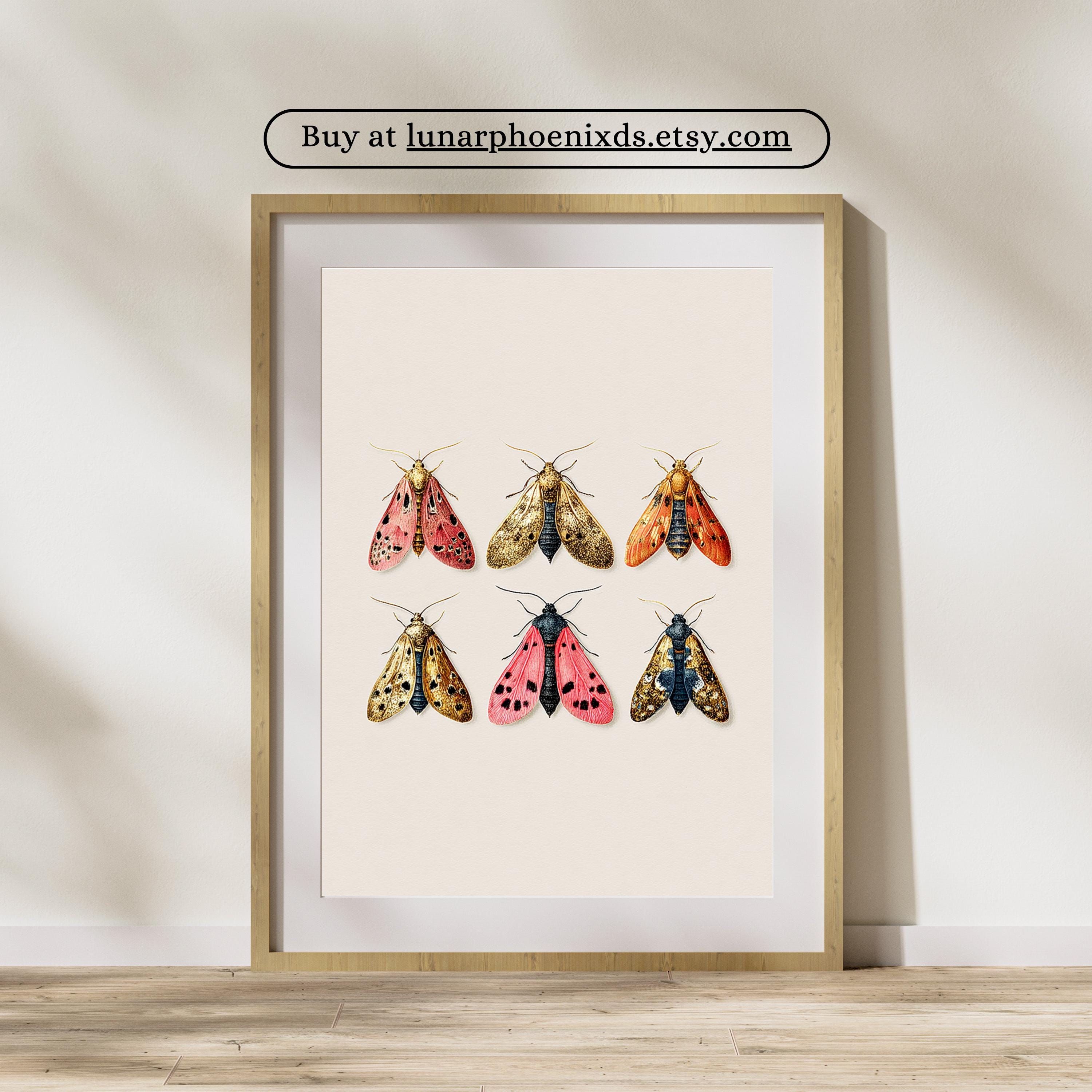 Vintage Moths Illustration Print • Romantic Wall Art • Antique Style ...
