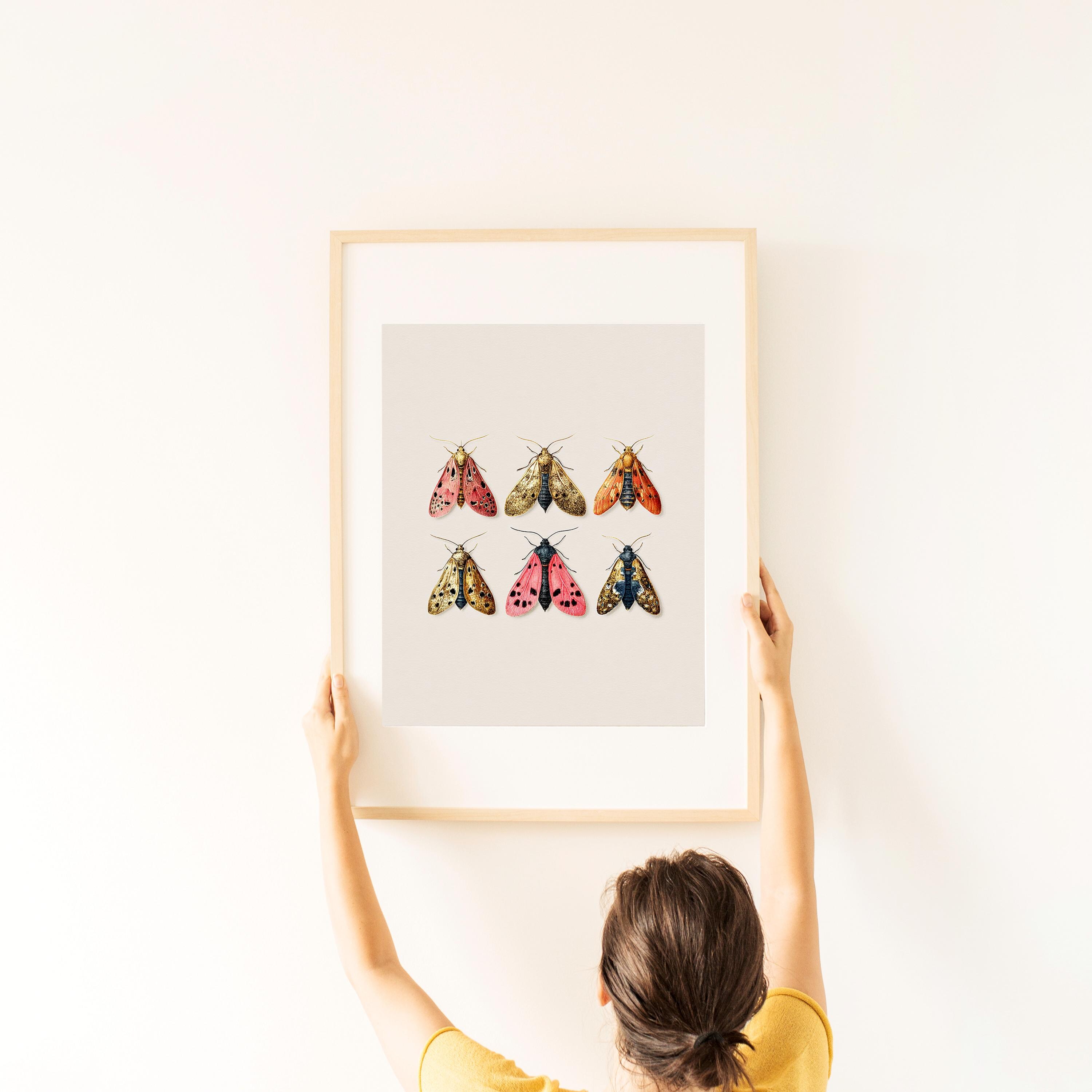 Vintage Moths Illustration Print • Romantic Wall Art • Antique Style ...