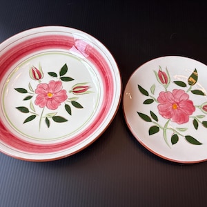 Puede incluir: Dos platos de cerámica con diseño floral. El plato más grande es un cuenco con borde rojo y blanco. Ambos platos presentan una flor rosa, hojas verdes y capullos rojos sobre fondo blanco.