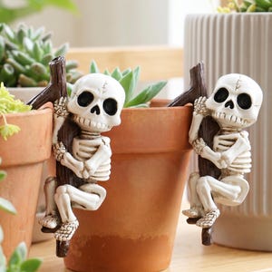 May include: Two off-white skeleton figurines with dark eye sockets and rib cage details, each clinging to a dark brown branch. These decorative figures are designed to hook onto the rim of a terracotta plant pot, featuring a cartoonish aesthetic.