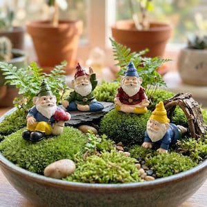 May include: A round ceramic bowl containing a miniature garden with four small gnome figurines, green moss, small ferns, and a piece of bark. The gnomes wear colorful hats and outfits, with one holding a mushroom and another crawling near a bark arch.