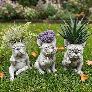 May include: Three grey French bulldog planters, each featuring a sculpted figure with a grumpy expression and one paw raised in a middle finger gesture. The dogs hold a spiky air plant, a purple succulent, and a dark green aloe plant respectively.