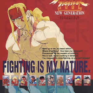 May include: A red Street Fighter III New Generation poster featuring a muscular blonde character with a red headband. Text includes "FIGHTING IS MY NATURE" and a list of characters: Elena, Ken, Sean, Dudley, Ryu, Ibuki, Oro, Necro, Yun, and Yang.