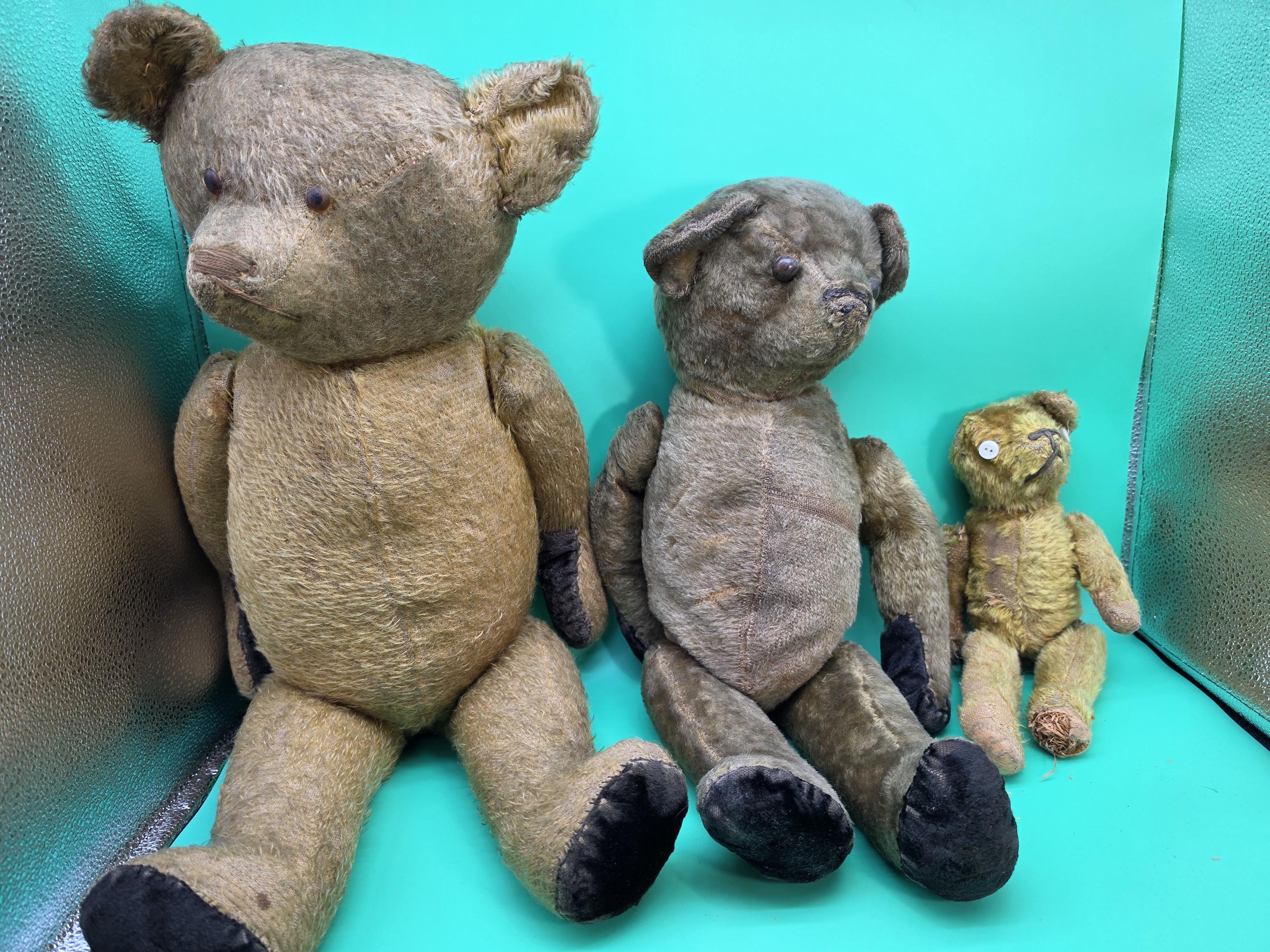 1930s 30s teddy bear - Etsy 日本